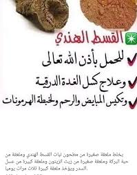 Pin By Nina Akira On معلومات مفيدة Bly