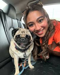 Pug Rescue of Korea added a new...