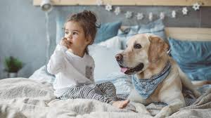 Justanswer.com has been visited by 100k+ users in the past month Is Your New Dog Nipping Humping Or Playing Rough With Your Kids
