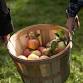Glendale Park Orchard: Inspirational Tour #2
