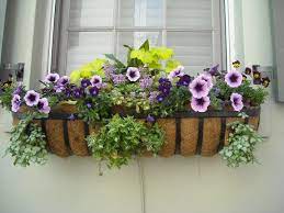 Gorgeous window boxes will add some color and character to your house, and they work with every season. Flowers For Window Boxes Sun And Shade Loving Plants The Old Farmer S Almanac