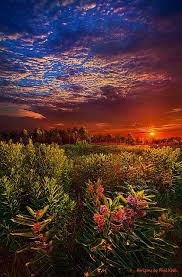 Nature photography is a site for those who enjoy capturing the beauty and wonder of nature. Heaven On Earth Flickr Beautiful Nature Autumn Landscape Beautiful Landscapes