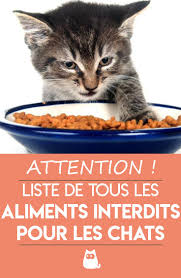 Aliments Interdits Pour Les Chats Tout Savoir Sante Des Chats Nourriture Chat Astuces Pour Chat