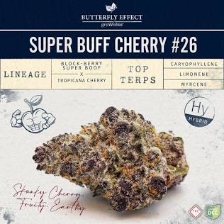 Prescription-grade Super Buff Cherry medical flower, AI generated