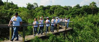 TURISMO PEDAGÓGICO NO PANTANAL - FAZENDA SAN FRANCISCO - Fazenda San Francisco