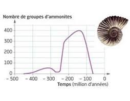 Un graphique permet de transformer un tableau de résultats. Evolution Au Sein Du Groupe Marin Des Ammonites Svtice