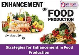 40 Trending Strategies for Enhancement in Food Production in India