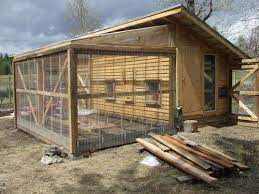 5' w x 7' l x 3' h chicken run. Dreams Really Do Come True Diy Chicken Coop Building A Chicken Coop Chicken Coop
