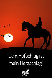 Quotes Pferdespruche Pferde Zitate Pferdeliebe
