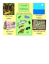 This category contains all habitat animals. Kindergarten Lesson What S A Habitat Anyway Betterlesson
