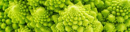 Its more common name is broccoli romanesco and it produces lime green heads packed with smaller florets similar to its cousin, the cauliflower. Romanesco