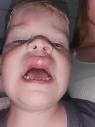 Found dog near Idaho Falls airport