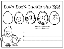 Hatching Chicks In School Let S Look Inside The Egg Includes Emergent Reader Printables Pocket Chart Materials A Life Cycles Chicken Life Cycle Class Book