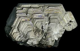 Image result for Sarcophyte piriei