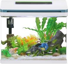 How To Cycle A Fish Tank: Easy Step-By-Step Guide | Hepper | Betta Fish  Care, Fish Tank, Fish Care