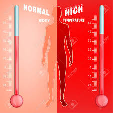 Il joue un rôle déterminant dans l'immunité et le processus de renouvellement cellulaire du sang. Vector Illustration D Infographies Bio Avec Systeme De Regulation De La Temperature Du Corps Humain Dans Un Style Transparent Resume Medecine Et Le Concept De La Biochimie Gardez Votre Corps En Bonne Sante