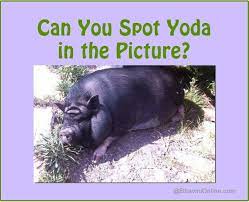 Riddles not only provide fun, but also help children learn to think and reason. Fun Picture Riddle Can You Spot Yoda From Star Wars In This Photo Bhavinionline Com Yoda Riddles Picture Puzzles