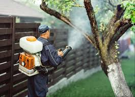 We utilize green pest control solutions, taking a more environmentally conscious and safe approach to pest management. Reliable Home Pest In Bedford Tx 76022 Dfw Best Pest Exterminators