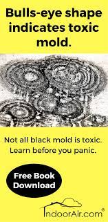 Join internachi ® as a member. Diy Mold Inspection Know Your Enemy Black Mold Mold Testing Mold Inspection Black Mold Diy Molding
