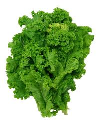 Kebaikan daun salad untuk anda. Ini 10 Sayuran Hijau Dengan Nutrisi Paling Hebat 2