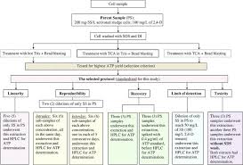 Flow Chart Of Formation And Final Experimental Works Of Atp