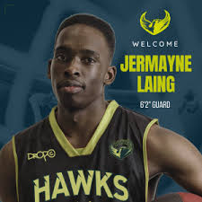 Hawks Swoop For Veteran Laing