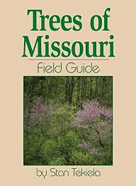 Don't miss out on ornamental trees 2020 xmas deals Trees Of Missouri Field Guide Tree Identification Guides Tekiela Stan 9781591931560 Amazon Com Books