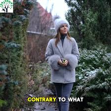 G & C tree Prune service (1)