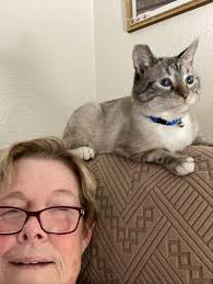 Nothin' But Love Cat & Kitten Rescue, Inc.