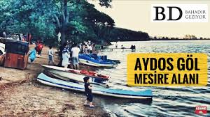Aydos gölü'ne uzanan dereden akan suyun. Istanbul Piknik Yerleri Aydos Gol Mesire Alani Bahadir Geziyor Youtube