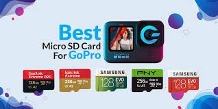 Yes this would be perfectly suited for the go pro hero 8. Best Micro Sd Card For Gopro In 2021 Gadgetgang