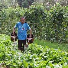 Maybe you would like to learn more about one of these? Planting The Seeds Of A Brighter Future Cws