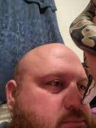 Kaa is such a pretty snake. I love all the morphs,but theres something  about standard ball pythons.