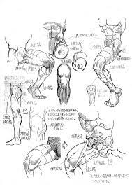 瓦屋a太 fanbox開設 on twitter human anatomy art human anatomy drawing figure drawing reference