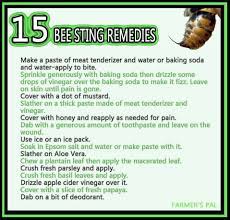 Pin By Dianna Deaton On Health Remedies For Bee Stings Remedies Bee Sting