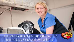 For over 25 years, we have been serving the pets and families of our local area. Regular Grooming With Aussie Pet Mobile Will Keep Your Pets Clean Cute And Happy And Healthy Aussie Pet Mobile Greater Nashville Middle Tn