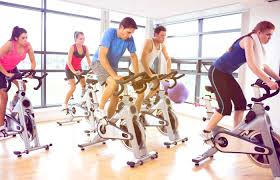 Upright stationary exercise bikes, indoor cycles/spin bikes, and the sunny health & fitness pro indoor cycle bike is a well designed bike for cycling enthusiasts who don't want to break the bank on an indoor bike. Top 21 Best Spin Bikes Reviewed In 2021 Lifestyle Reviews