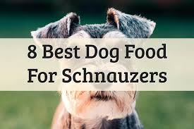 If you know what your dog is allergic to, you can simply switch them to a food that does not contain. 8 Best Dog Food For Schnauzers 2021 Review Buyer Guide