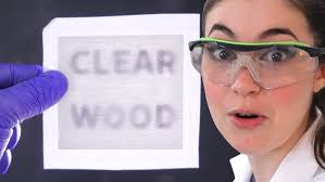 DIY Resin Purse Made of Money & Gold