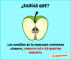 Tengan Cuidado Amigos Sabias Que Datos Curiosos Frases Motivadoras Memes Clasicos