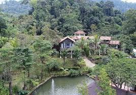 Serene and tranquil within driving one of the best villa in janda baik. Fifty4ferns Resort Janda Baik Official Website Fifty4ferns Resort Janda Baik