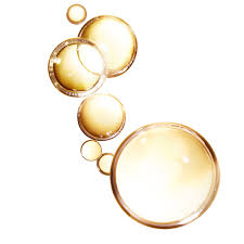 Extraordinário m (feminine singular extraordinária, masculine plural extraordinários, feminine plural extraordinárias, comparable). Elvive Aceite Extraordinario Tratamiento Seco L Oreal Paris Hydration Und Ernahrung Perfumes Club