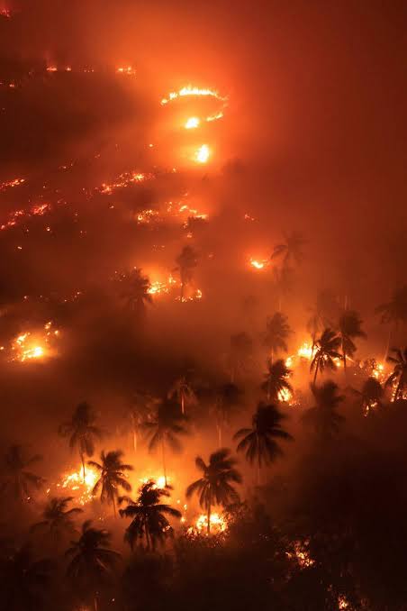 WILDFIRES IN INDONESIA Photos show the wildfires in West Kalimantan  province, Indonesia last week. According to the Associated Press, fires  remained active in several regions on Monday while large-sc