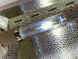 We did not find results for: Lec Sunburst Cmh 315w Grow Lights Alchimia Grow Shop