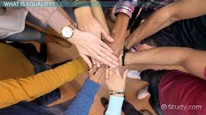 Equality Definition Types Examples Video Lesson Transcript Study Com