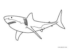 Check spelling or type a new query. Free Printable Shark Coloring Pages For Kids