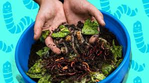 Use shovel to mix the topsoil of the raised bed with cornmeal. How To Build A Worm Farm To Help Your Garden And The Environment Abc Everyday