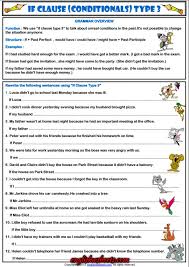 Conditionals Type 3 Esl Grammar Exercises Worksheet Conditionals Grammar Grammar Grammar Worksheets