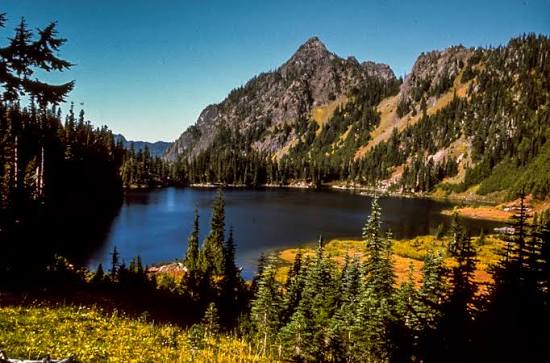 Scenery from Olympic National Park in Washington image - Free stock photo -  Public Domain photo - CC0 Images