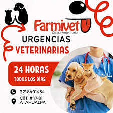 Clinica Veterinaria Farmivet